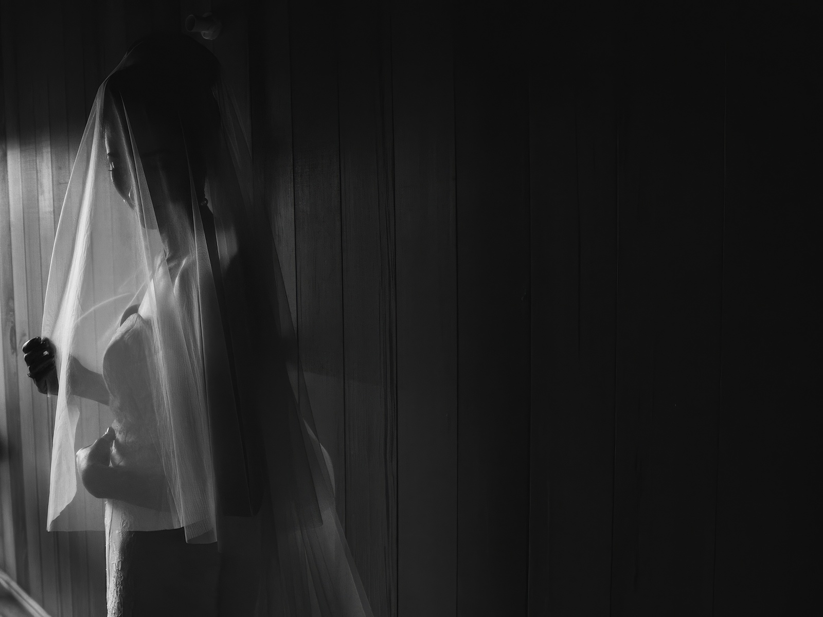 Black and white bridal portrait through sheer veil